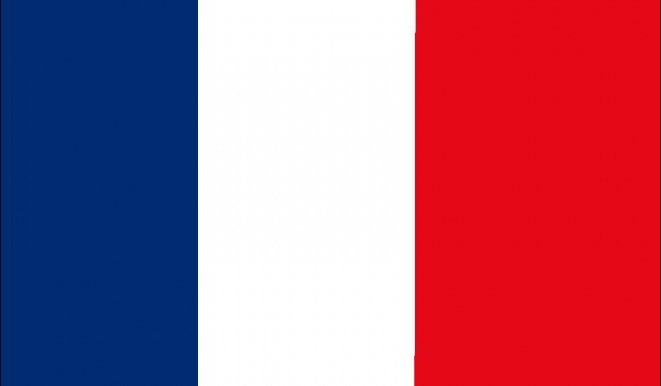 La Francia, Bandiera Con La Gente Del Bastone, I Ctadini, Il Grafico Concettuale, La Folla Degli Uomini Blu E Bianchi Rossi Le Donne Ed Image149540711 - Foto 12