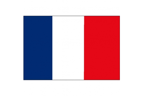 Bandiera Francia