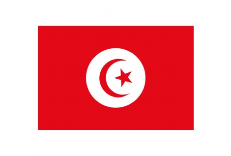 Bandiera Tunisia