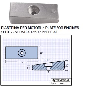 Piastrina per Motori 75HP V6 40 50 115 EFI 4T