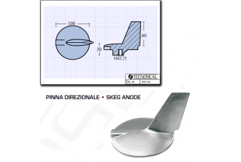 Pinna Direzionale