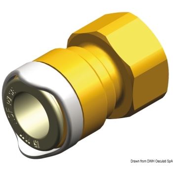 Adattatore 1/2" BSP ottone Whale 