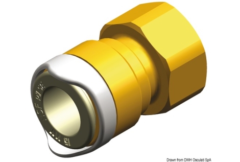 Adattatore 1/2" BSP ottone Whale 