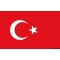 Bandiera Turchia 20 x 30 cm 