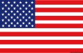 Bandiera USA 20 x 30 cm 
