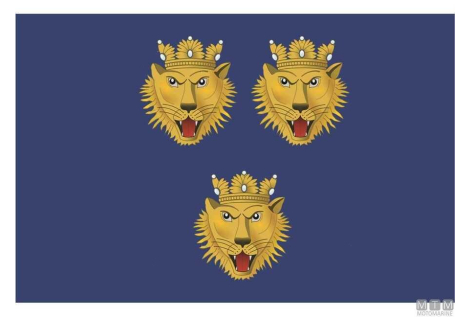 Bandiera dalmazia 20x30