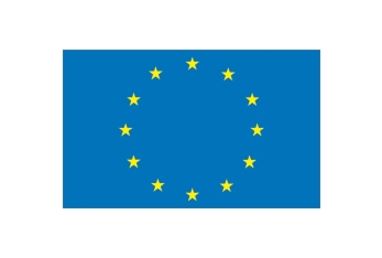 Bandiera Europa 20 x 30cm