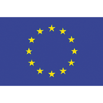 Bandiera europa cm.20x30