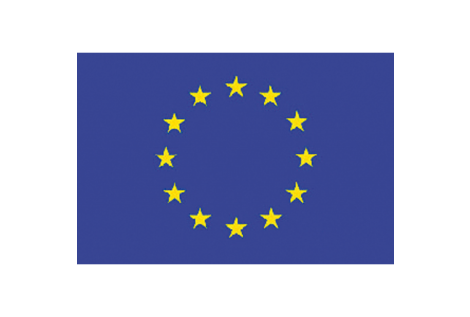 Bandiera europa cm.70x100