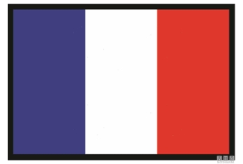Bandiera francia 30x45cm 