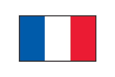 Bandiera Francia 50 x 75cm