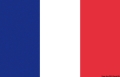 Bandiera Francia 80 X 120 cm 