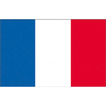 Bandiera francia cm.20x30