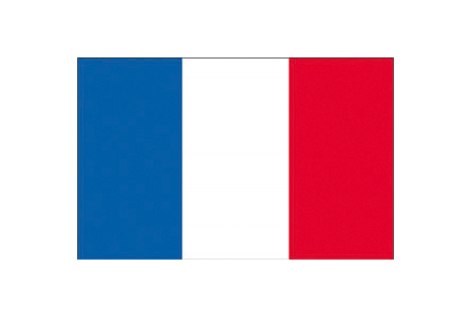Bandiera francia cm.70x100