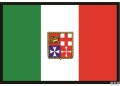 Bandiera italia 40x60cm