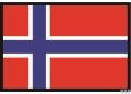 Bandiera norvegia 40x60cm