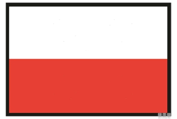 Bandiera polonia 40x60cm 