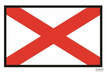 Bandiera segnale v victor 40x60cm 