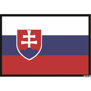 Bandiera slovacchia 20x30cm 