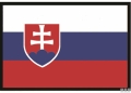 Bandiera slovacchia 20x30cm