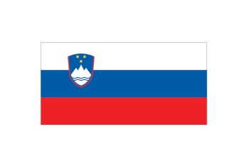 Bandiera Slovenia 20 x 30cm