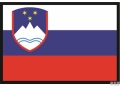 Bandiera slovenia 40x60cm