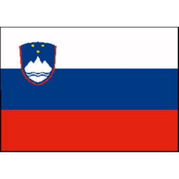 Bandiera slovenia cm.20x30