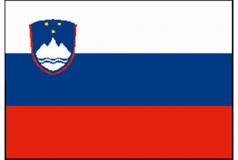 BANDIERA SLOVENIA CM.20X30