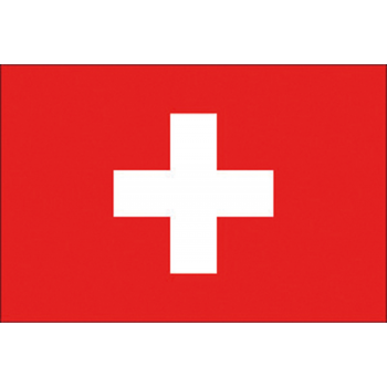 Bandiera svizzera cm.20x30