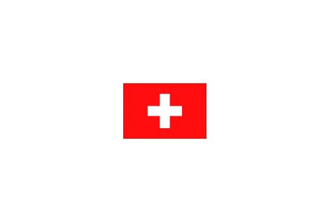 Bandiera svizzera cm.30x45