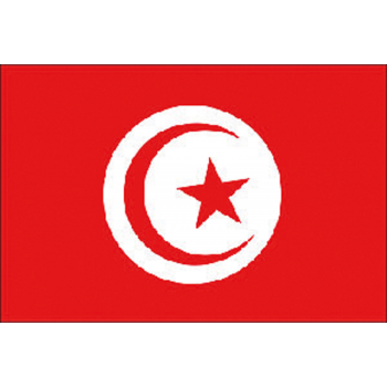 Bandiera tunisia cm.20x30