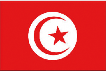 BANDIERA TUNISIA CM.20X30