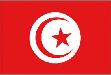 BANDIERA TUNISIA CM.20X30