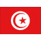 Bandiera tunisia cm.20x30