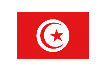 Bandiera tunisia cm.30x45