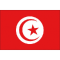 Bandiera tunisia cm.30x45