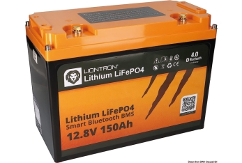 Batteria litio 80Ah con BMS e Bluetooth 