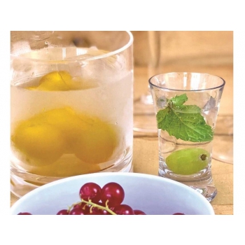 Bicchiere Shot Parti Marine Business