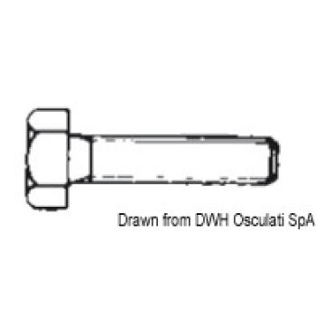 Bulloni 4x12 AISI 316 316.933/4X12