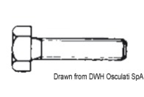 Bulloni 4x12 AISI 316 316.933/4X12