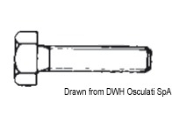 Bulloni 4x20 AISI 316 316.933/4X20