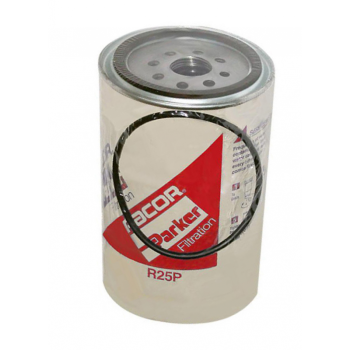 Cartuccia ricambio r25p 30 micron