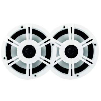 Casse bluetooth bianche