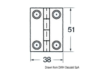 Cerniera inox cieca 51x38 rett 
