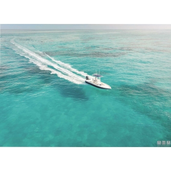 Comando up-down trim bolt< 