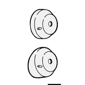 Coprimozzo per T 71 90° 