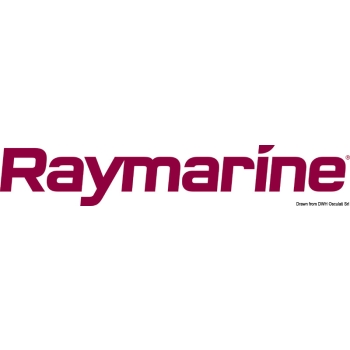 Display Speed Raymarine i40 
