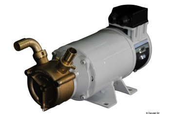 Elettropompa autoadescante in bronzo 24V 30 l/min 
