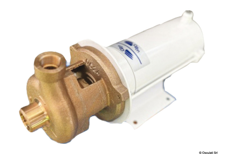 Elettropompa centrifuga in bronzo 12V 40 l/min 