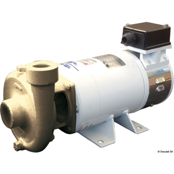 Elettropompa centrifuga in bronzo 24V 80 l/min 
